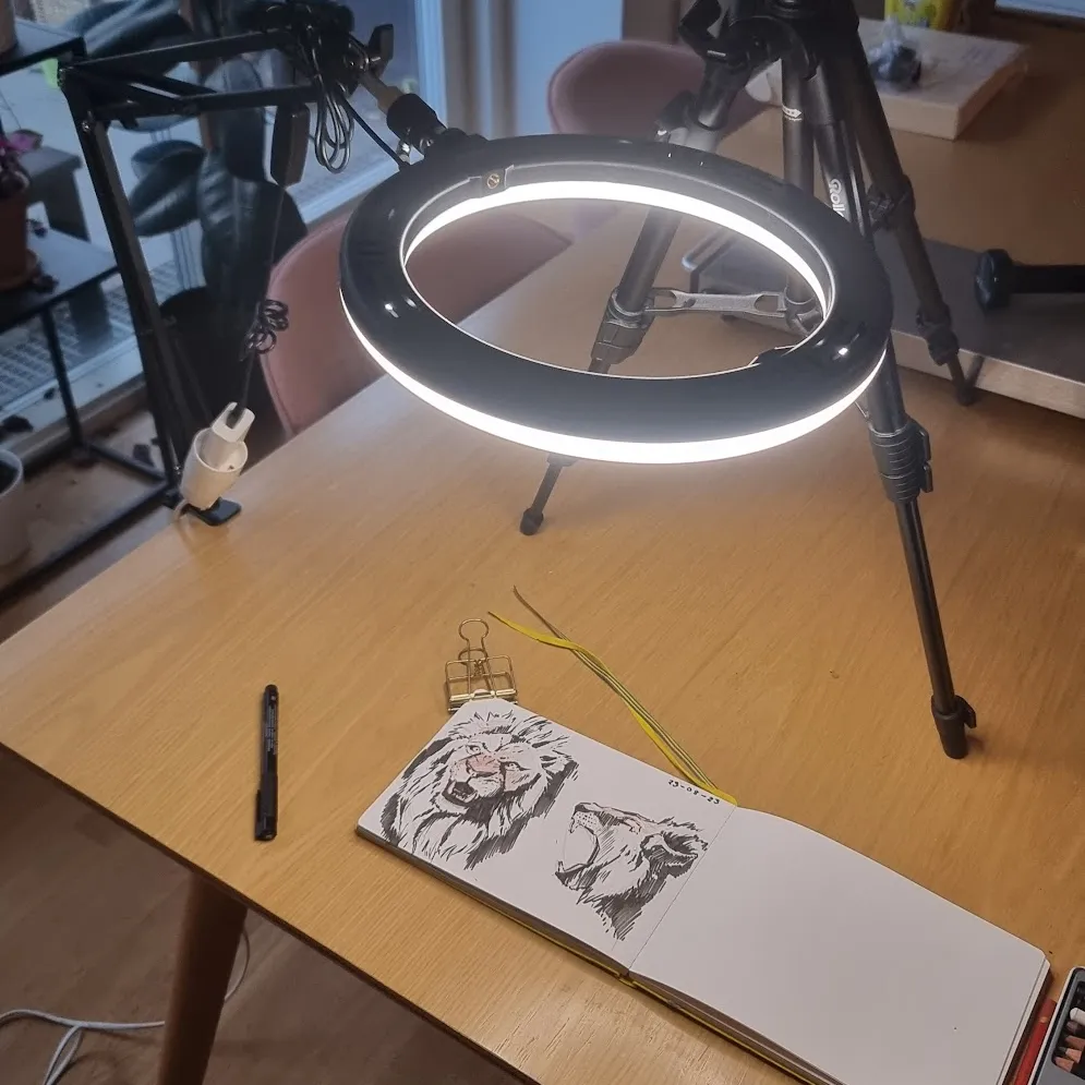 My firt filming setup - a ring light over the kitchen table