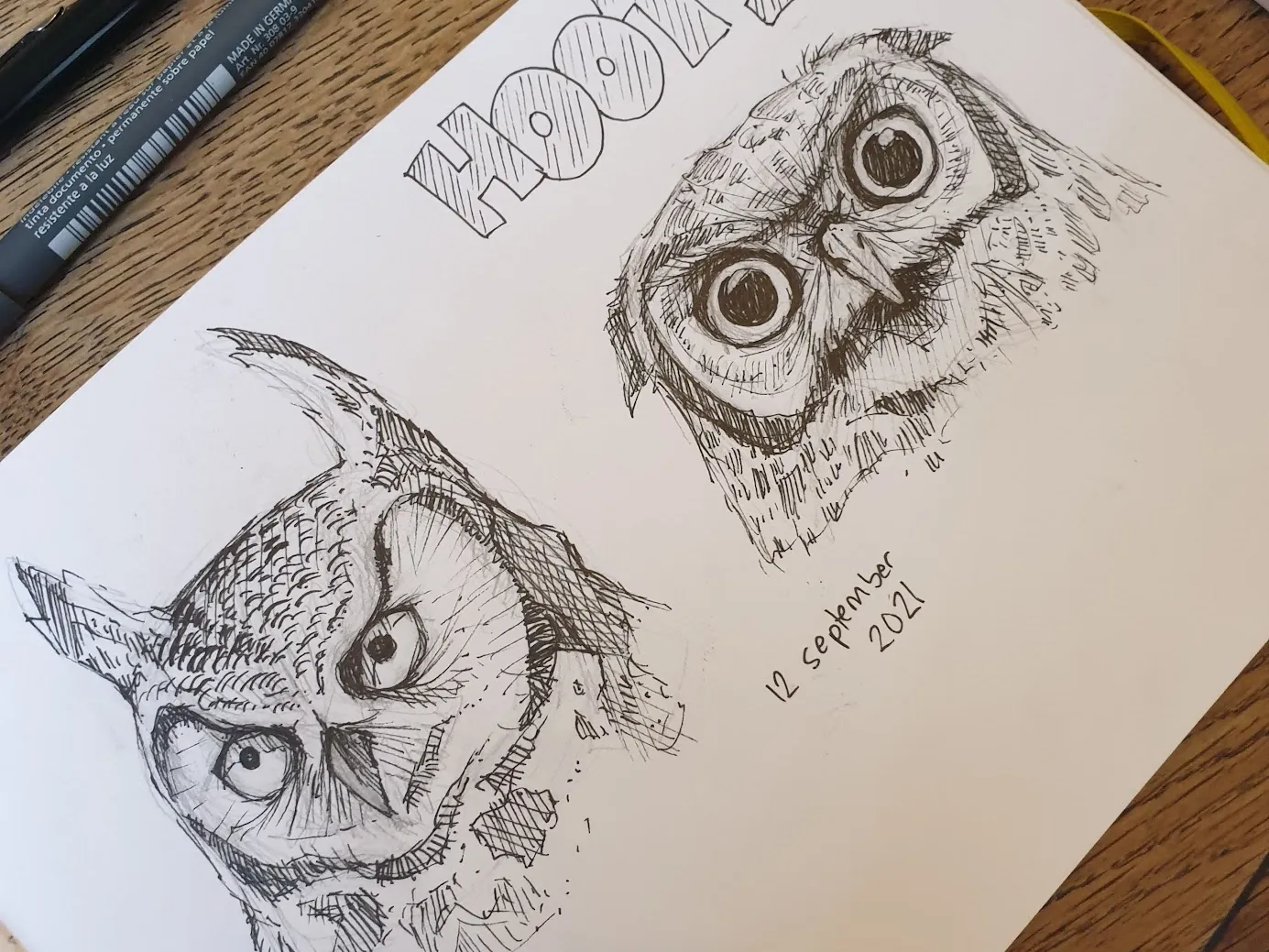 A pen drawing of two owls in a sketchbook, open on a wooden table