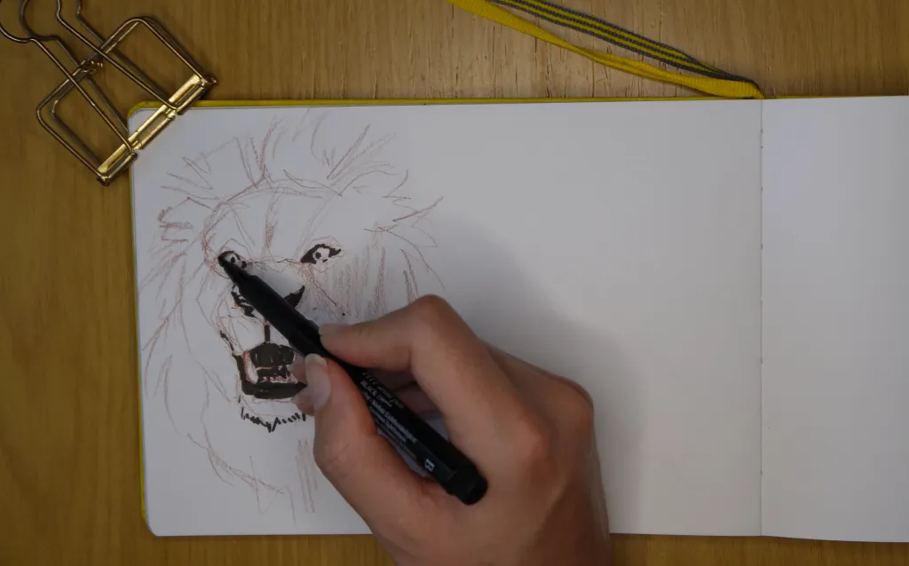 A top down view of someone sketching a lion - the footage is dark and grainy