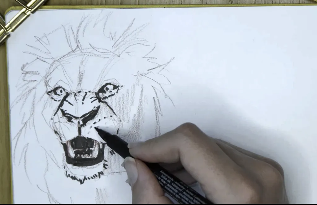 A top down view of someone sketching a lion - the footage is desaturated and grainy