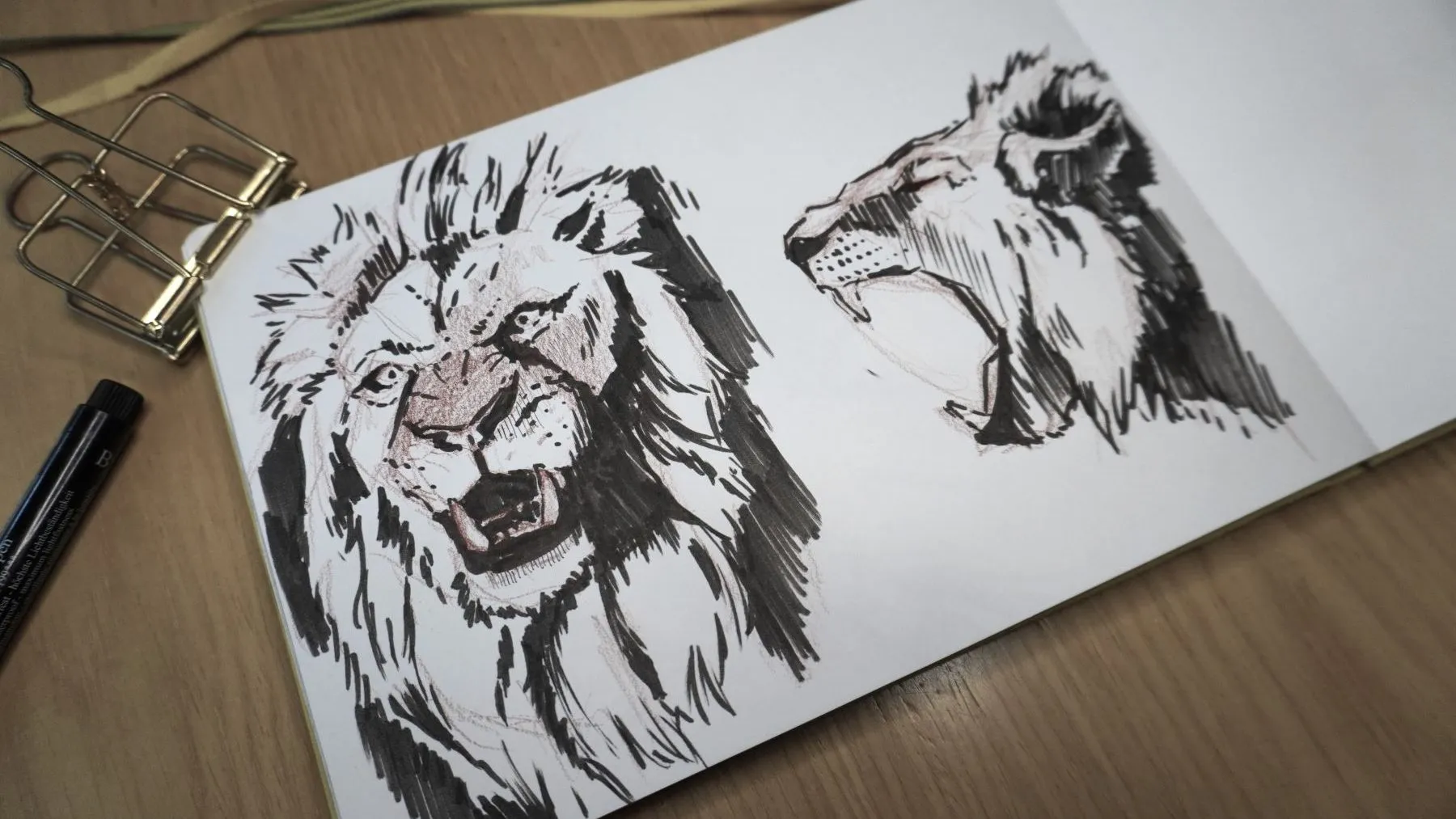 Open sketchbook showing two lions drawn in marker